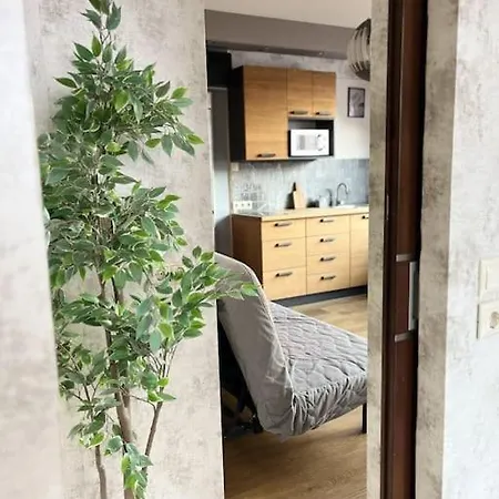 Elegant Rooftop With Shared Terrace And Jacuzzi Mk2 Apartman