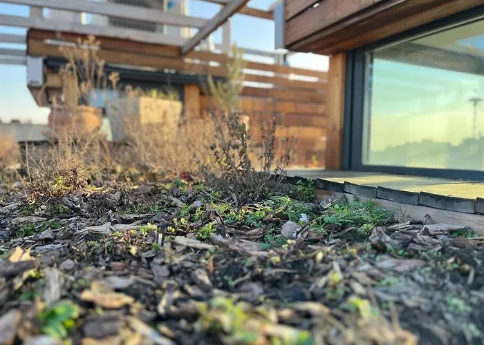 Lejlighed Elegant Rooftop With Shared Terrace And Jacuzzi Mk2