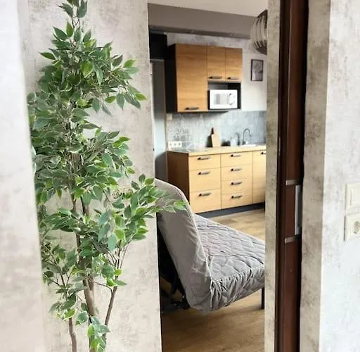 Elegant Rooftop With Shared Terrace And Jacuzzi Mk2 Lejlighed