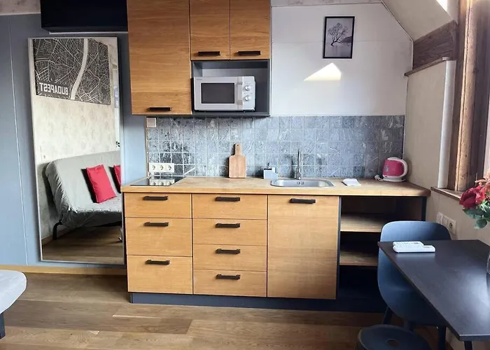 Elegant Rooftop With Shared Terrace And Jacuzzi Mk2 Διαμέρισμα Βουδαπέστη